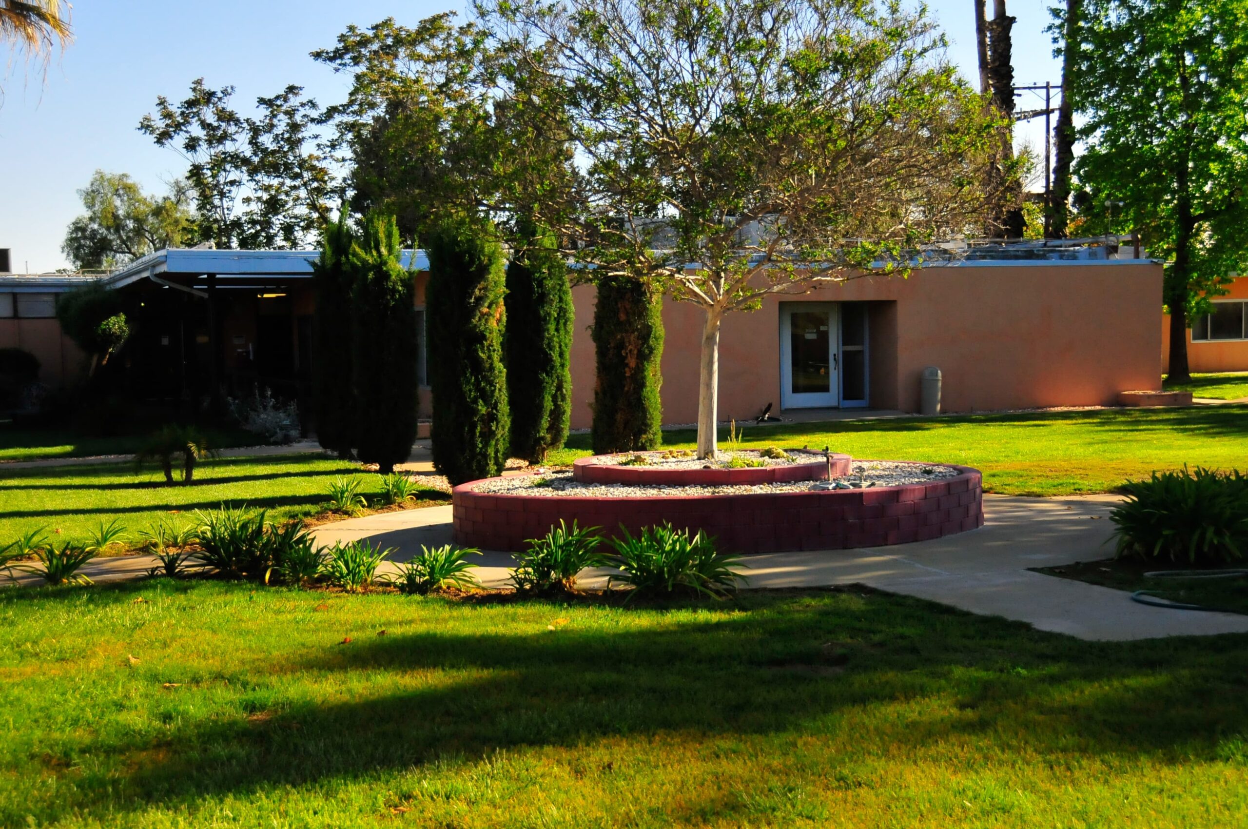 Desktop Background Image